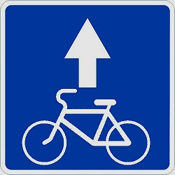 Рис. 3 «Велосипедная полоса движения»
